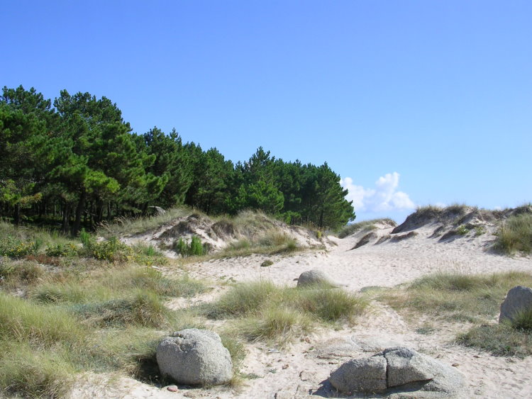 Playa Area de la Secada 4 R.JPG
